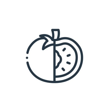 Beslenme konseptinden domates ikonu vektörü. Domates kurgulanabilir felcinin ince bir çizgisi. Web ve mobil uygulamalarda kullanmak için domates doğrusal işareti, logo, yazdırma ortamları.