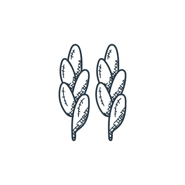 Ячмінь Значок Вектор Харчової Ручної Намальованої Концепції Тонка Лінія Ілюстрації — стоковий вектор