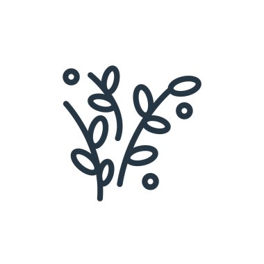 İlkbahar konseptinden söğüt ikonu vektörü. İnce çizgili düzenlenebilir söğüt felci çizgisi. Web ve mobil uygulamalarda kullanmak için söğüt doğrusal işareti, logo, yazdırma ortamı.