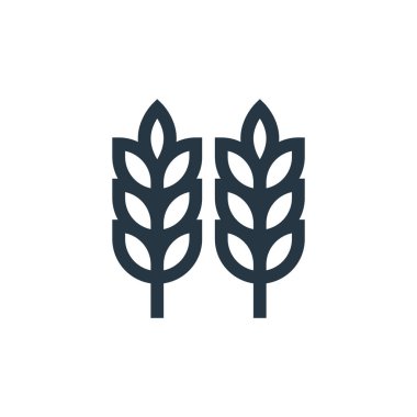 Fas konseptindeki buğday ikonu vektörü. Düzenlenebilir buğday felcinin ince bir çizgisi. Web ve mobil uygulamalarda kullanmak için buğday doğrusal işareti, logo, yazdırma ortamı.