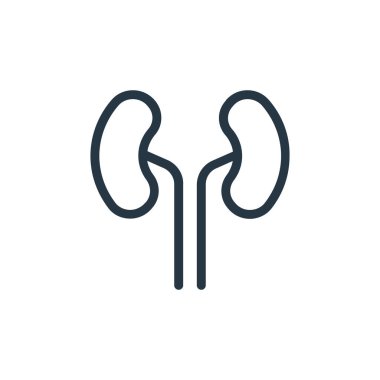 Tıbbi öğeler konseptinden böbrek ikonu vektörü. İnce çizgili, düzenlenebilir böbrek felci çizgisi. Web ve mobil uygulamalarda kullanım için böbreklerin doğrusal işareti, logo, yazdırma ortamı.