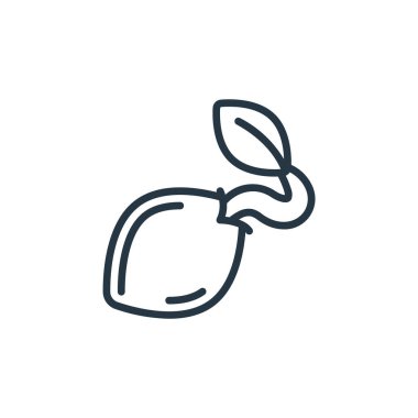 Bitki konseptindeki tohum ikonu vektörü. İnce çizgili düzenlenebilir felç çizgisi. Web ve mobil uygulamalar, logo ve yazdırma ortamlarında kullanmak için doğrusal kaynak işareti.