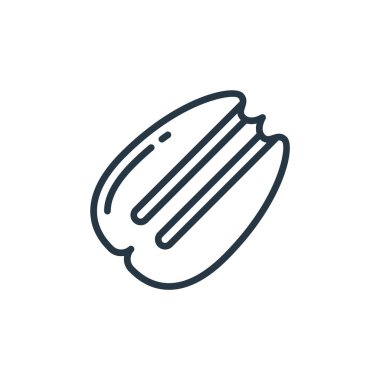 Bitki konseptinden ceviz ikonu vektörü. Kurgulanabilir pekan cevizinin ince bir çizgisi. Web ve mobil uygulamalarda kullanmak için pekan doğrusal işareti, logo, yazdırma ortamı.