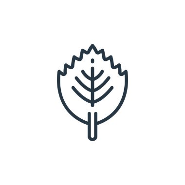 Bitki konseptinden yaprak ikonu vektörü. Düzenlenebilir yaprak vuruşunun ince çizgisi. Web ve mobil uygulamalarda kullanmak için yaprak doğrusal işareti, logo, yazdırma ortamı.