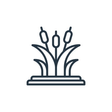 Bitki konseptinden sazlar ikon vektörü. Düzenlenebilir kamışların ince çizgisi. Web ve mobil uygulamalarda kullanmak için sazlıklar doğrusal işareti, logo, yazdırma ortamı.