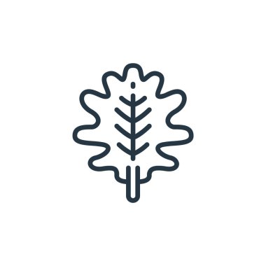 Bitki kavramından meşe yaprağı ikonu vektörü. Meşe yaprağının düzenlenebilir vuruşunun ince çizgisi. Web ve mobil uygulamalarda kullanmak için meşe yaprağı doğrusal işareti, logo, yazdırma ortamı.