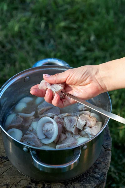 Carne Cruda Preparazione Barbecue Fuoco Spiedini Tradizionali Uno Spiedo Cottura — Foto Stock