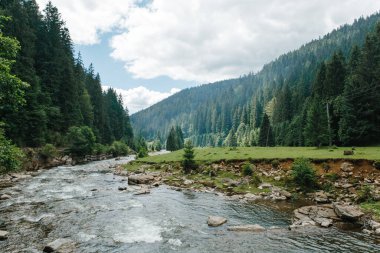 Uçurumlar arasındaki dağ nehri. Nehrin mavi berrak suyu.
