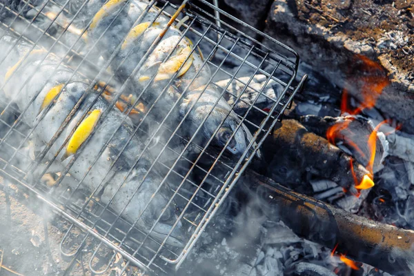 Ψητά Ψάρια Σκουμπρί Ατσάλινο Πλέγμα Γυρίζει Πάνω Από Ένα Brazier — Φωτογραφία Αρχείου