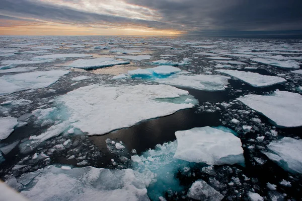 Severní Arktické Ledové Kry Rozpadají Tají Což Vede Atmosférickému Náladovému — Stock fotografie