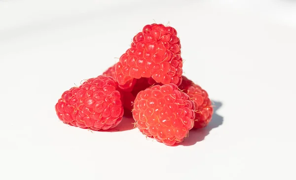 Raspberry Berries White Background — Stock Photo, Image