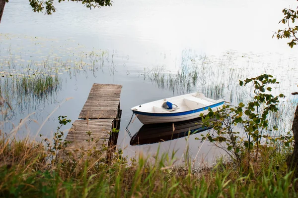 Paisagem Lago Berigu Com Grandes Árvores Barco Lago Grandes Árvores — Fotografia de Stock