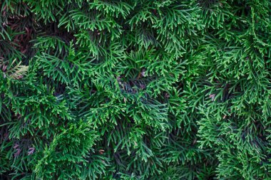 Farklı malzemelerin ve farklı evlerin geçmişleri....