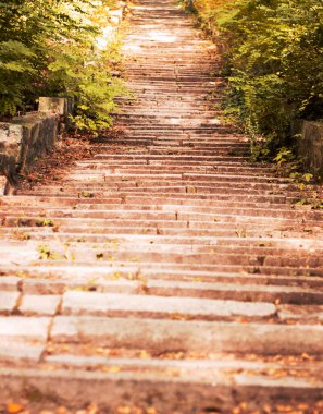 Parkta basamaklar var. Etrafta büyük ağaçlar var. Merdivenlerde yapraklar var..