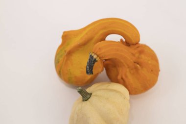 Beyaz arka planda bir balkabağı. Farklı şekil ve renkte balkabağı