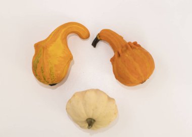 Beyaz arka planda bir balkabağı. Farklı şekil ve renkte balkabağı