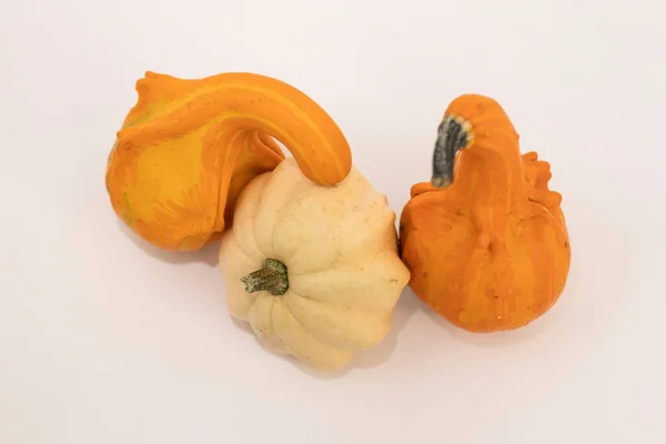 Pumpkin on a white background. Pumpkin of different shapes and colors