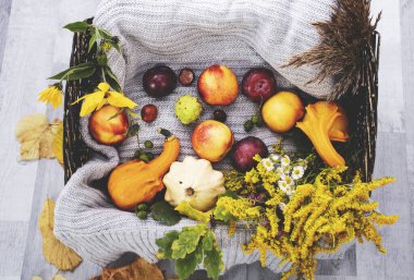 Sonbahar sebzeleri ve çiçeklerle dolu bir sepet. Sıcak bir battaniyenin üzerinde.