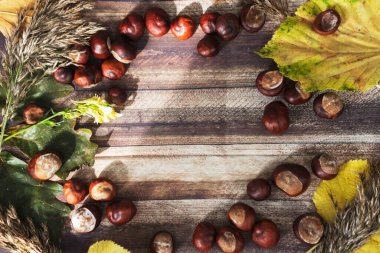 Masadaki kestaneler farklı tabaklardaydı. Ve yakınlarda yapraklar var..