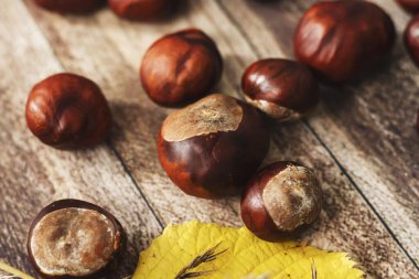 Masadaki kestaneler farklı tabaklardaydı. Ve yakınlarda yapraklar var..
