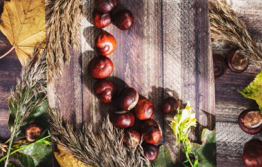 Masadaki kestaneler farklı tabaklardaydı. Ve yakınlarda yapraklar var..