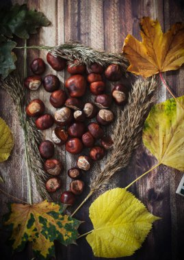 Masadaki kestaneler farklı tabaklardaydı. Ve yakınlarda yapraklar var..