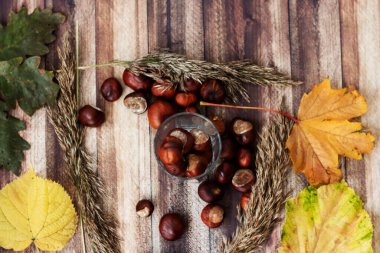 Masadaki kestaneler farklı tabaklardaydı. Ve yakınlarda yapraklar var..