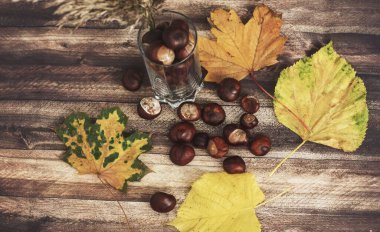 Masadaki kestaneler farklı tabaklardaydı. Ve yakınlarda yapraklar var..