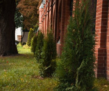 Şehrin geçmişleri. Fotoğrafta binalar, bir park, bir nehir ve sonbahar ağaçları görülüyor.