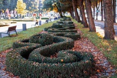 Şehrin geçmişleri. Fotoğrafta binalar, bir park, bir nehir ve sonbahar ağaçları görülüyor.