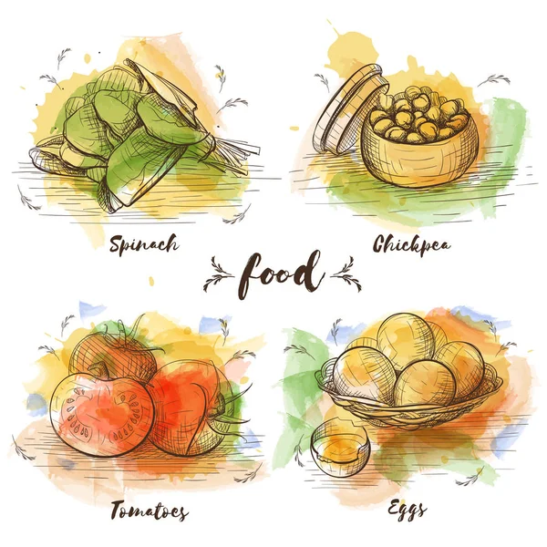 Kolor zestaw wegetariański szkicu rysunku. — Wektor stockowy