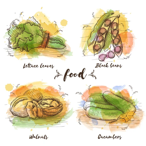 Conjunto de cores de comida vegetariana em gráfico de esboço . — Vetor de Stock