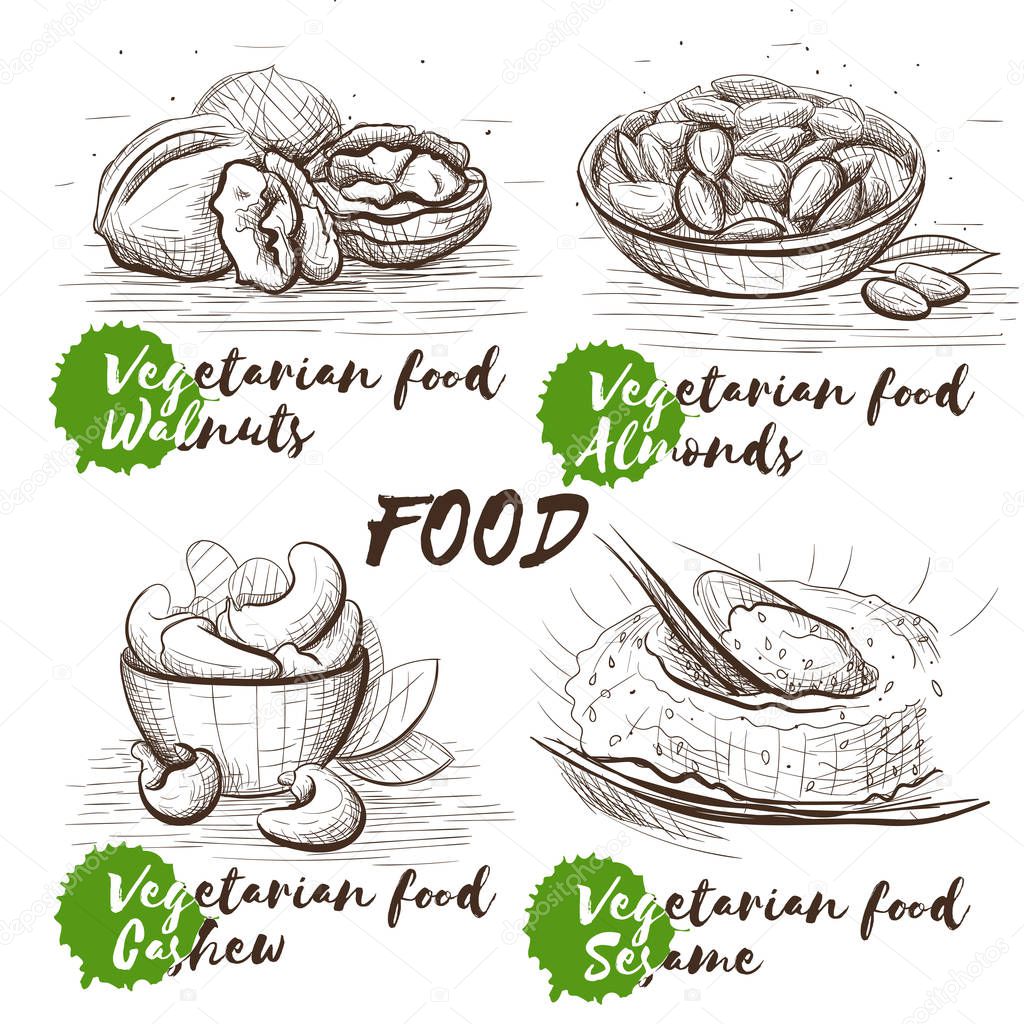 Hand drawn set with nuts. Vegetarian healthy nutrition. Vintage food vector sketch set for restaurant menu. Raw veggie food.