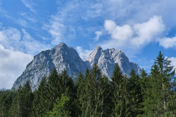 Montanhas Picos Atrás Floresta — Fotografia de Stock