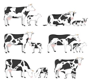 Vektör holstein inekler ve işletmeler için bakkal, beyaz izole farklı teşkil etmektedir paketleme ve marka danaların.