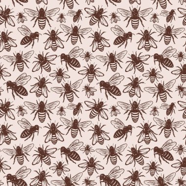 Bal arı Dikişsiz desen veya bal ürünleri, arı kovanı ve Arıcılık marka ve kimlik için arka plan retro tarz.