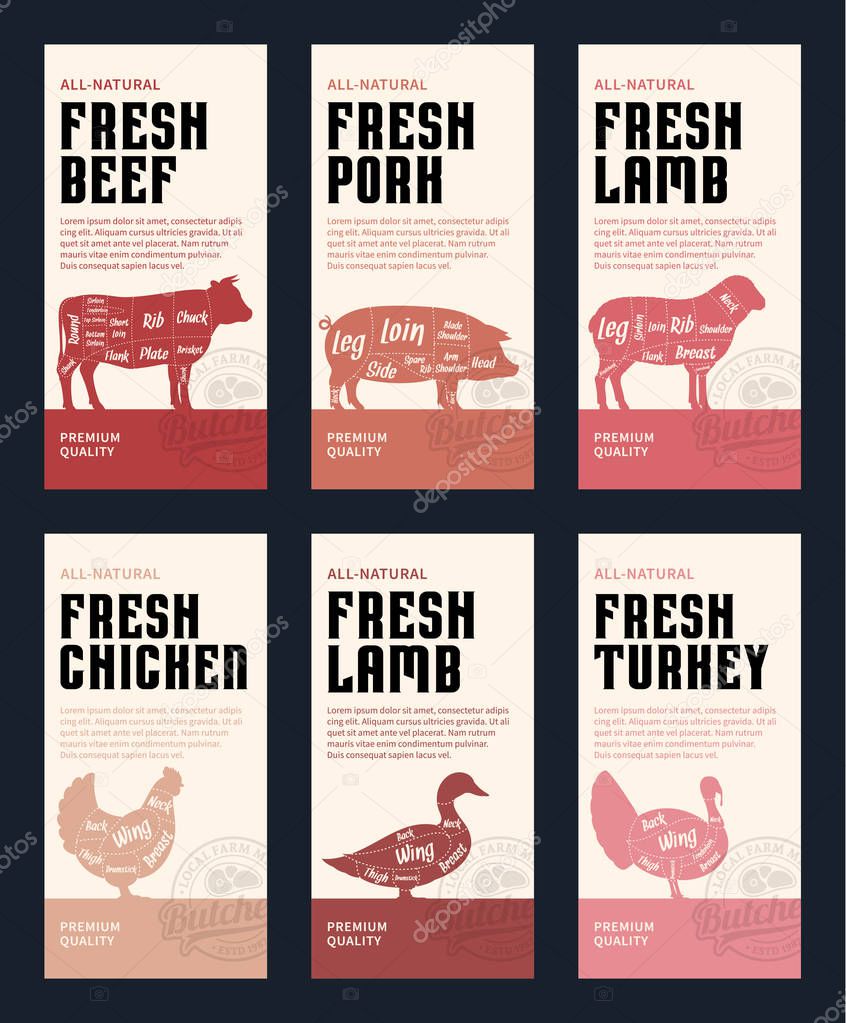 Vector butchery modern style labels. American (US) cuts of beef, pork, lamb, chicken, duck and turkey diagrams.