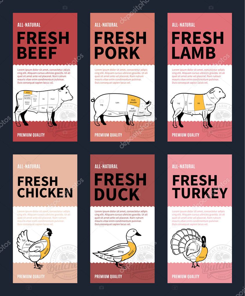 Vector butchery modern style labels. American (US) cuts of beef, pork, lamb, chicken, duck and turkey diagrams.