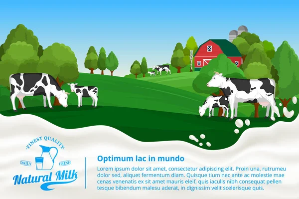 Ilustração Leite Vetorial Com Respingo Leite Paisagem Rural Com Vacas —  Vetores de Stock