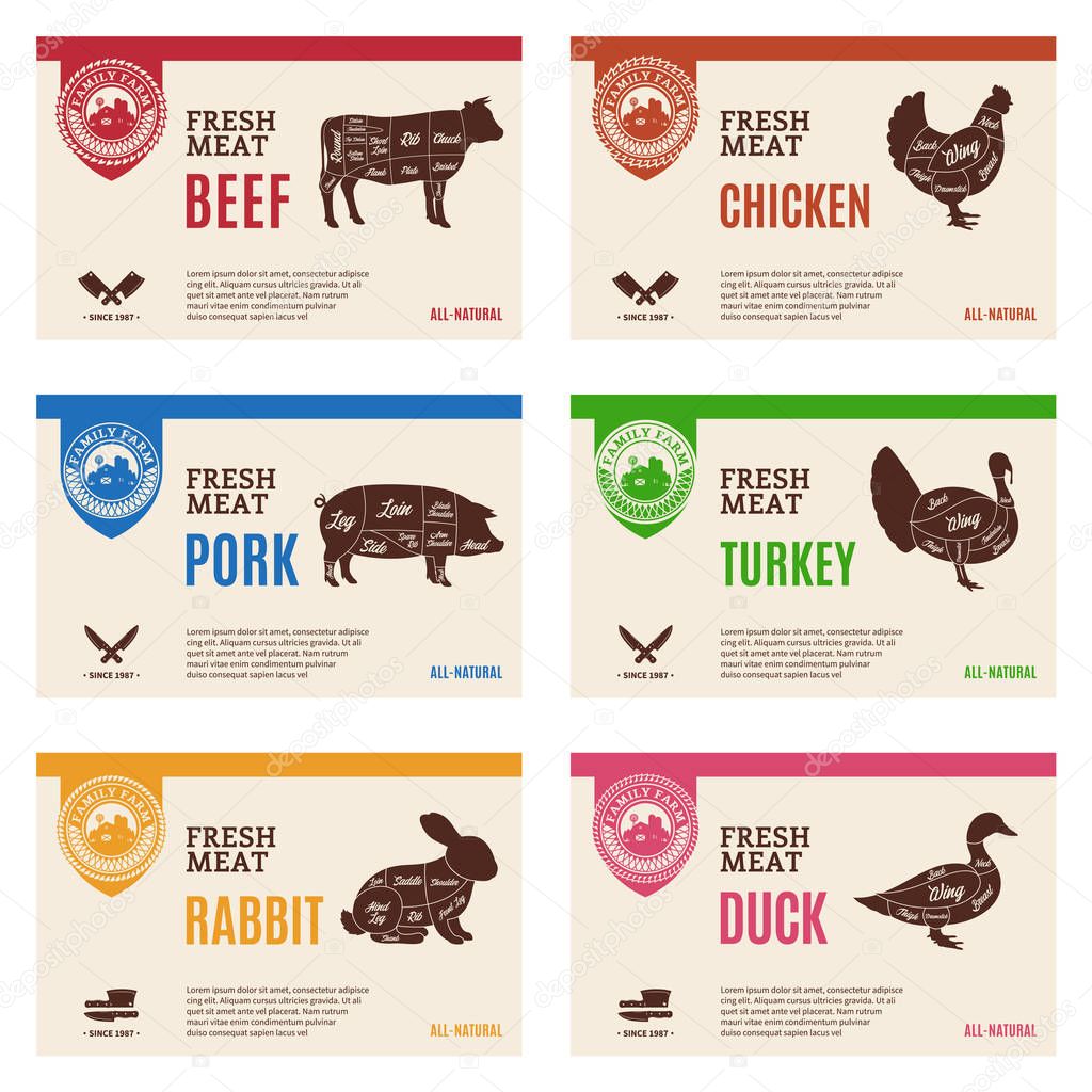 Vector butcher's shop modern style labels. American (US) cuts of beef, pork, rabbit, chicken, duck and turkey diagrams.
