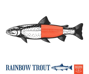 Etiket veya ambalaj tasarımı için vektör gökkuşağı alabalığı çizimi