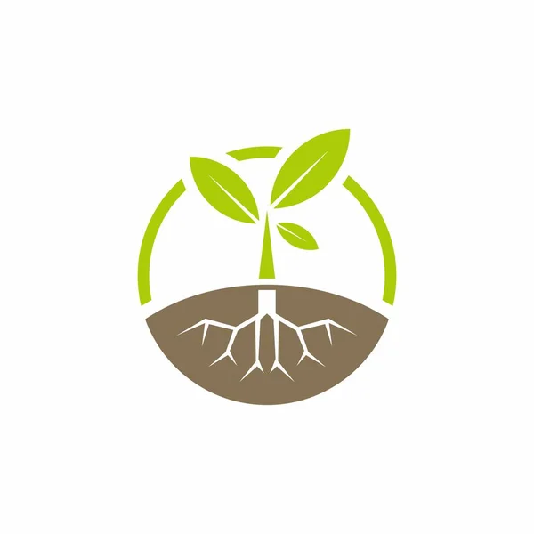 Hoja Logotipo Natural Icono Consepto Plantilla Ilustración Vector — Vector de stock