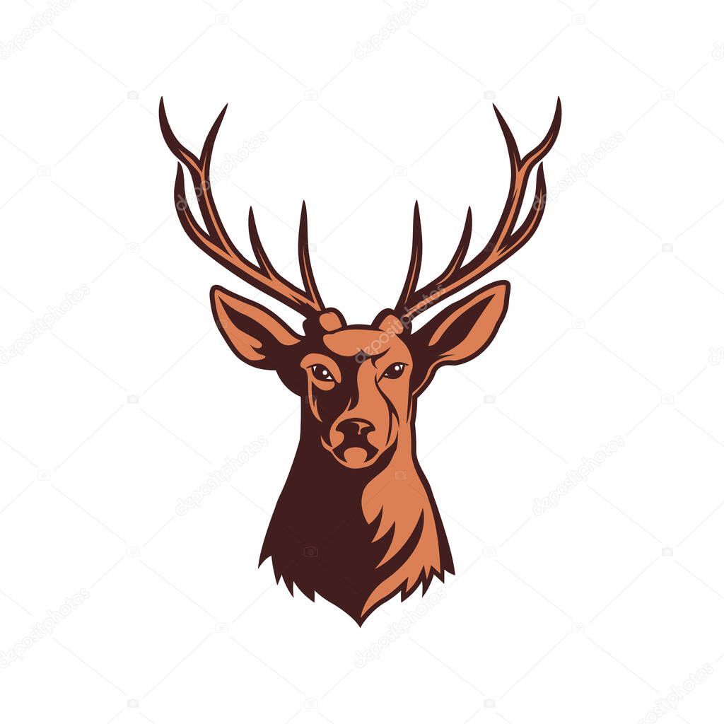 head deer illustration vector