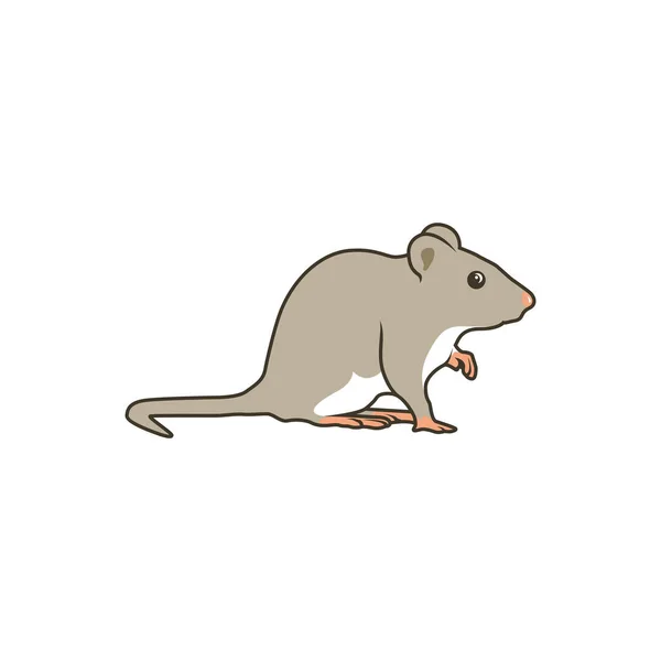 Rat White Background — Stock Vector