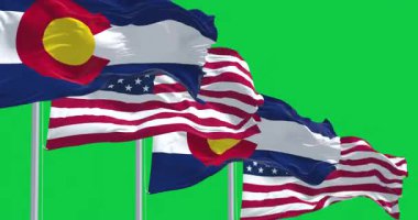 USA flags and the Colorado state flags flying together on flagpoles isolated on green background. Seamless 3D render animation. Chroma key. Slow motion loop. Green screen. 4K. Selective focus