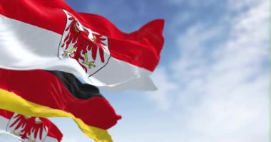 Germany and Brandenburg state flags waving in the wind. Red over white flag with red eagle coat of arms. Seamless 3d render animation. Slow motion loop. Selective focus