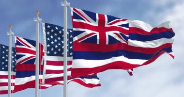 Hawaii eyaletinin bayrakları açık bir günde Amerika Birleşik Devletleri bayraklarıyla dalgalanıyor. Kusursuz 3 boyutlu animasyon. Yavaş çekim döngüsü. Seçici odak
