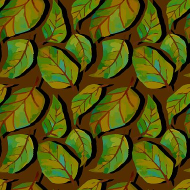 Pawpaw Dünya 'da Yapraklar