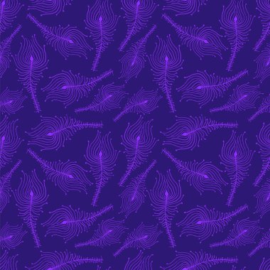 Örümcek Tavuskuşu Tüyleri mor