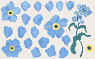 El unutma çiçek çekilmiş. Yaprakları üzerinde genişletilmiş. Şeffaf ile itiraz ediyorum. Realitic vektör aquarelle set. 